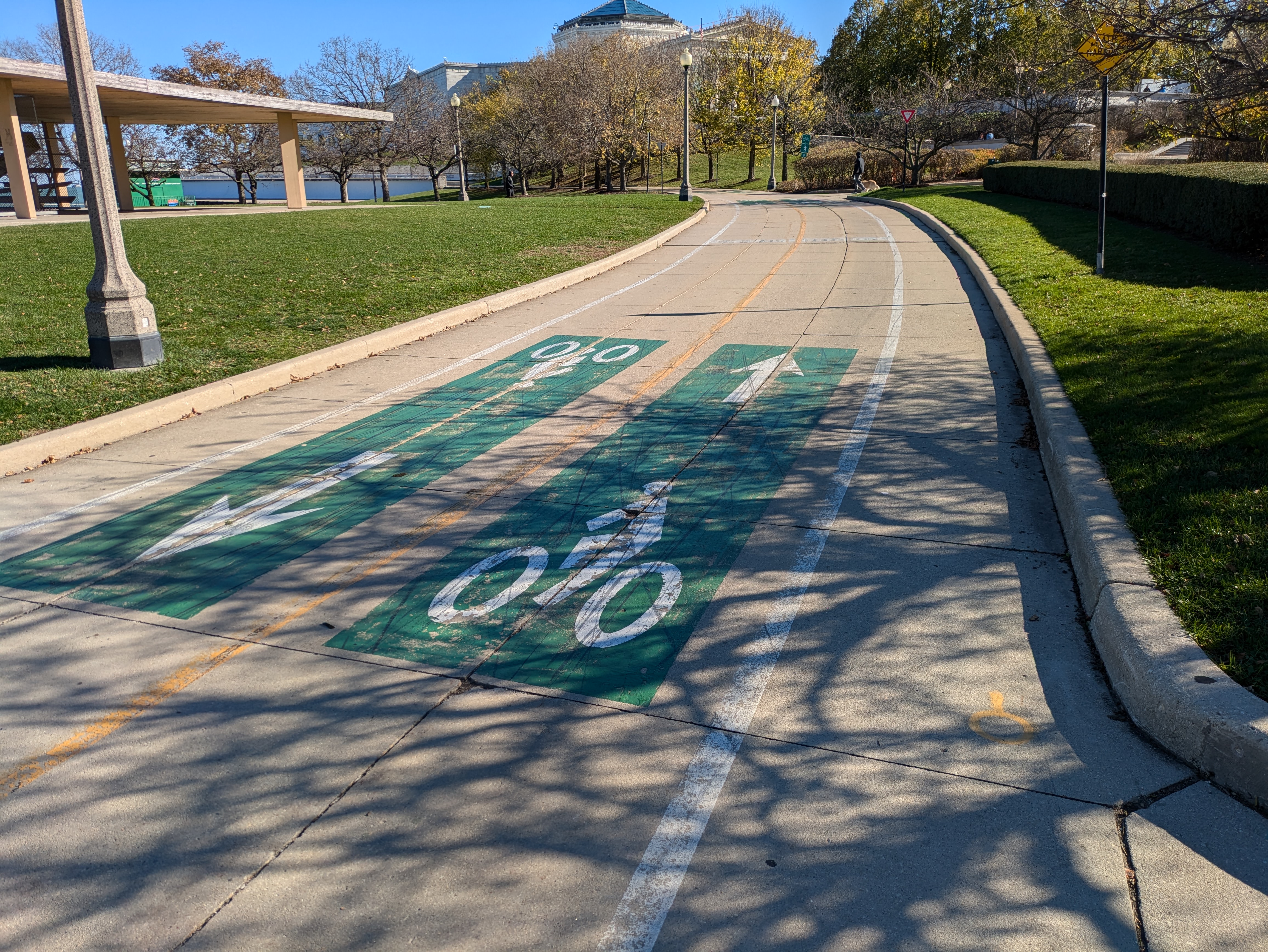 Dedicated bike lanes